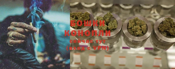 ГАЛЛЮЦИНОГЕННЫЕ ГРИБЫ Сосновый Бор