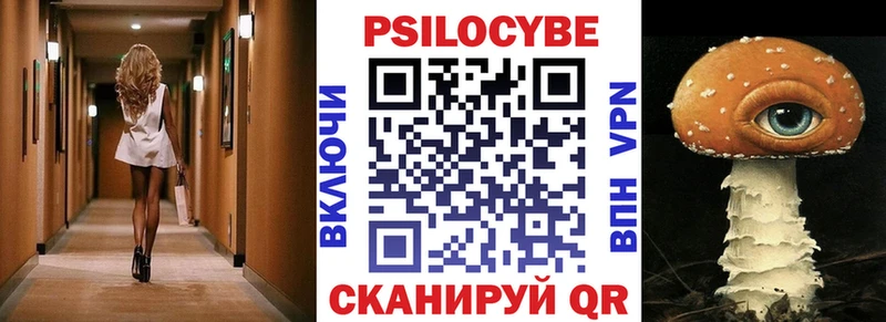 omg ссылки Волжск Псилоцибиновые грибы Psilocybe