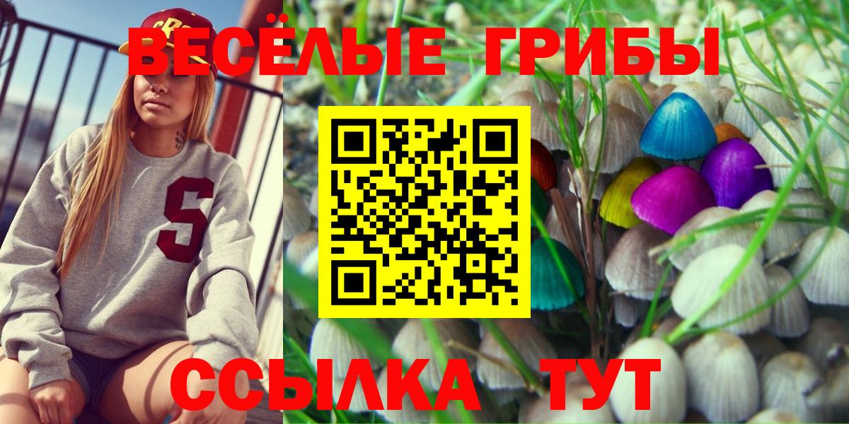 Псилоцибиновые грибы мицелий Волжск